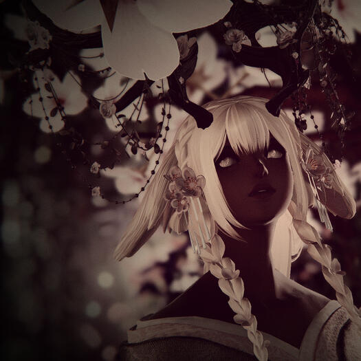 Mono